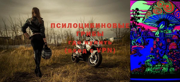 дурь Аркадак