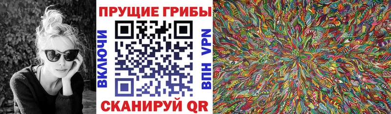 Галлюциногенные грибы Cubensis  цена   Судак 